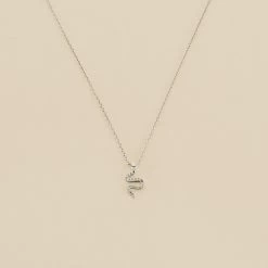 Collier Ras Du Cou SNAKY - Cristal / Argenté